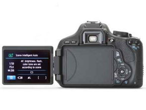 高性價(jià)比之選 人氣入門級(jí)單反相機(jī)推薦